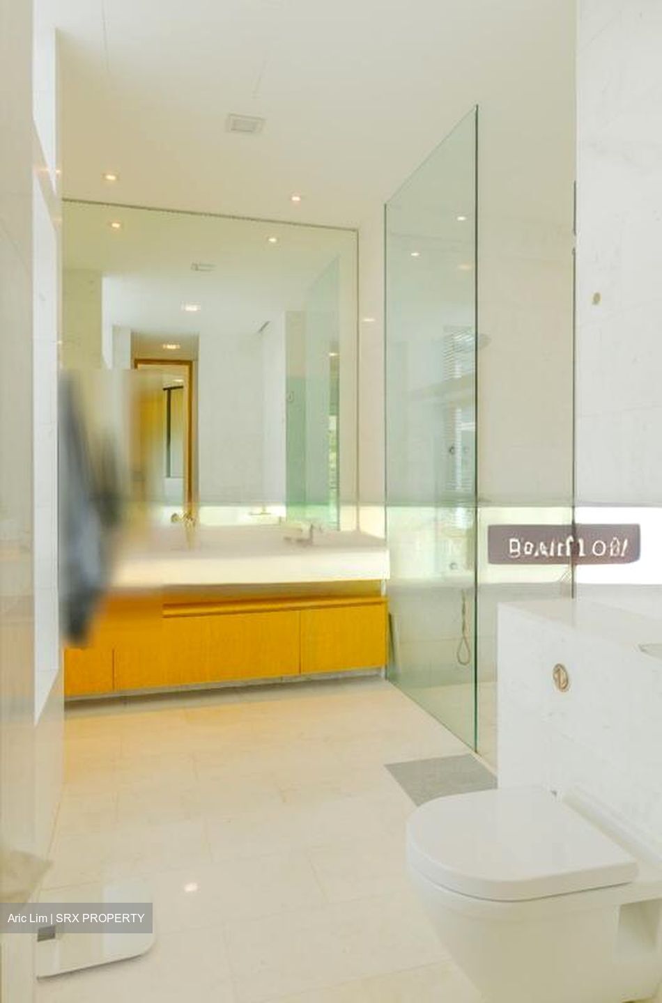 Belle Vue Residences (D9), Condominium #511270431